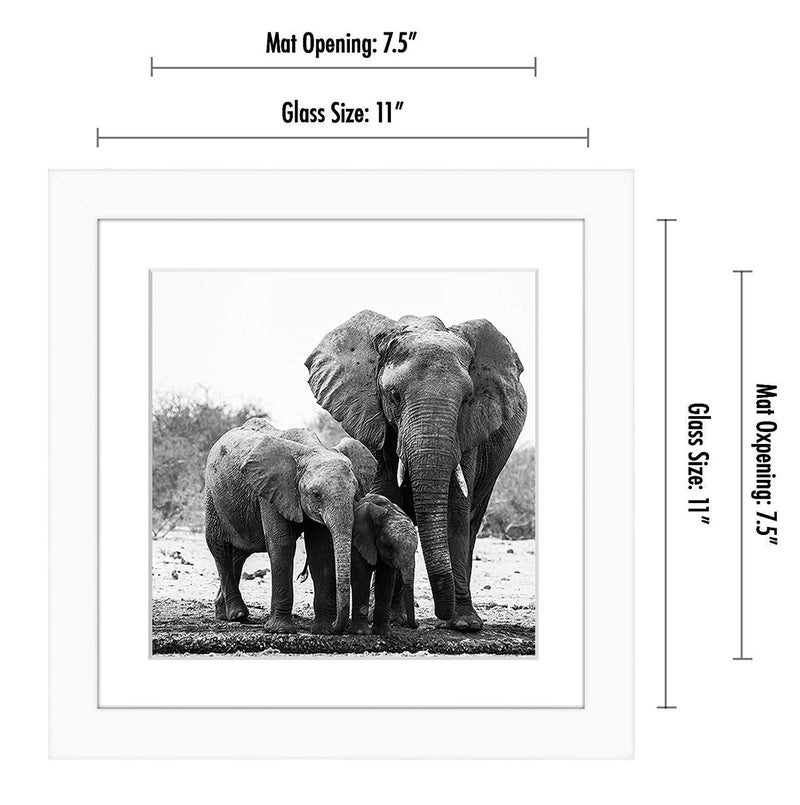 Americanflat 11x11 Picture Frame with Shatter-Resistant Glass - Use as 8x8 Frame with Mat or Display 11x11 Photo Without Mat - Signature Collection - Square Frames for Wall Display - White - Image 2